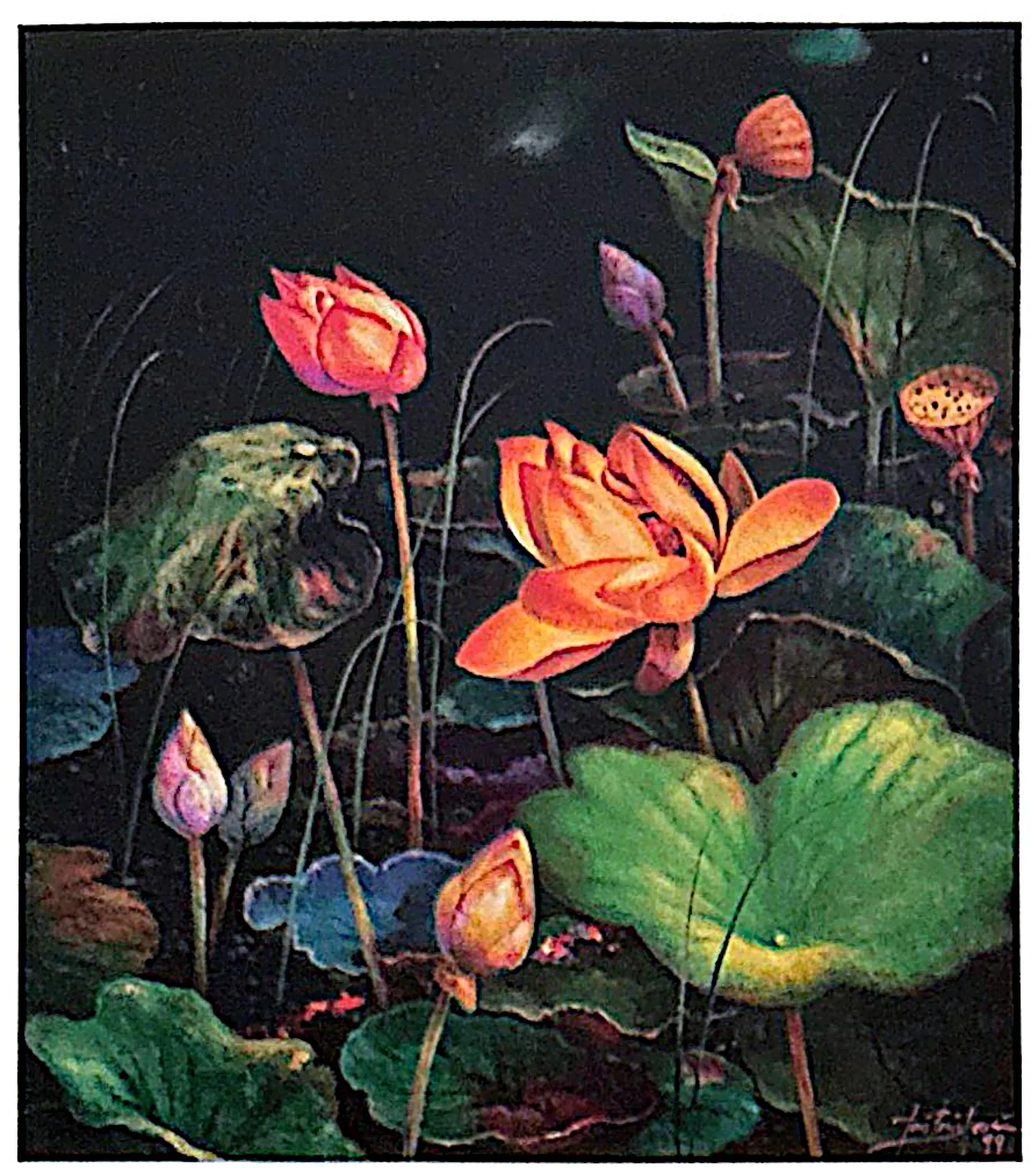 Oil painting titled Lotus by Tan Peng Hooi, 1999.