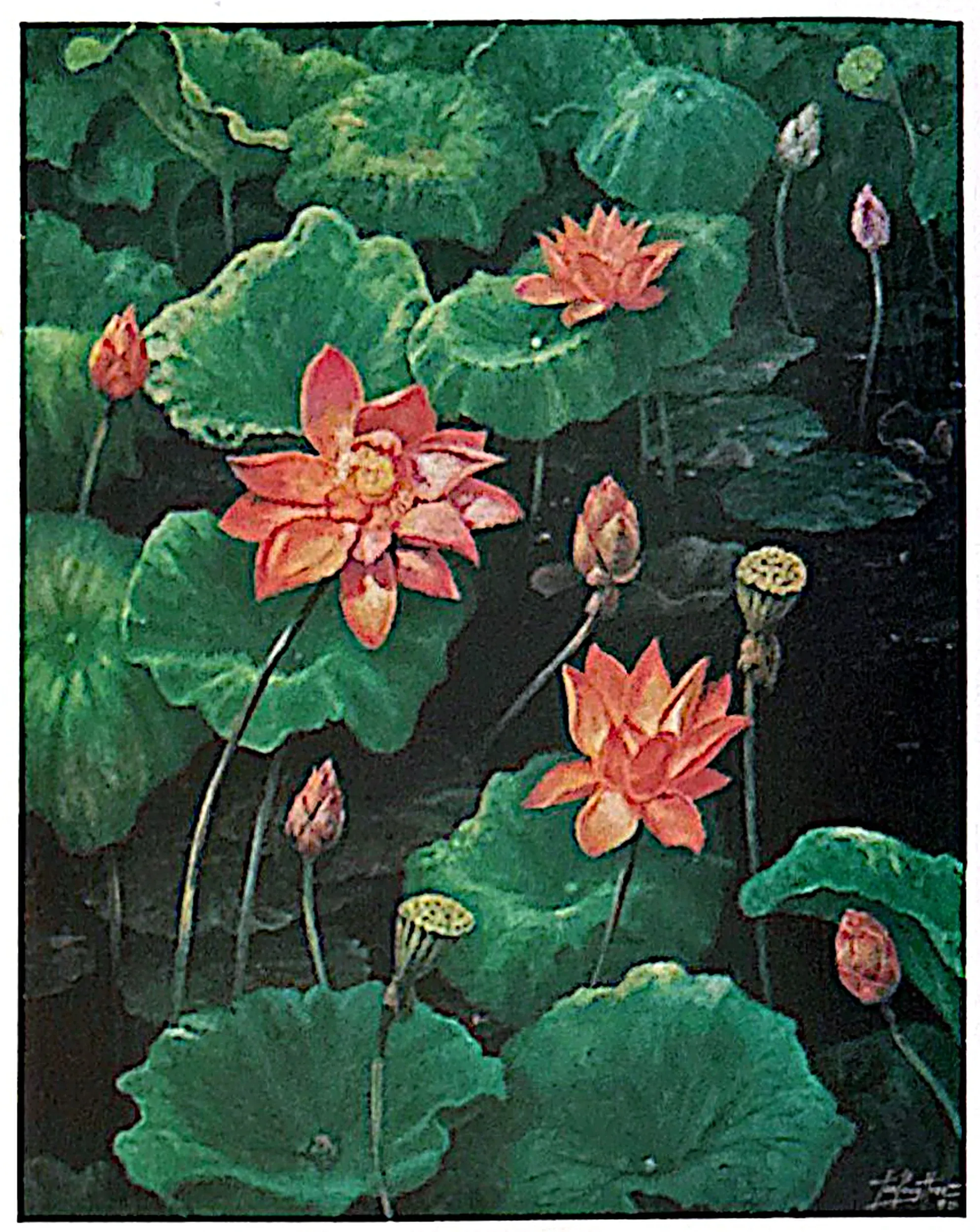 Plate for Lotus (3)