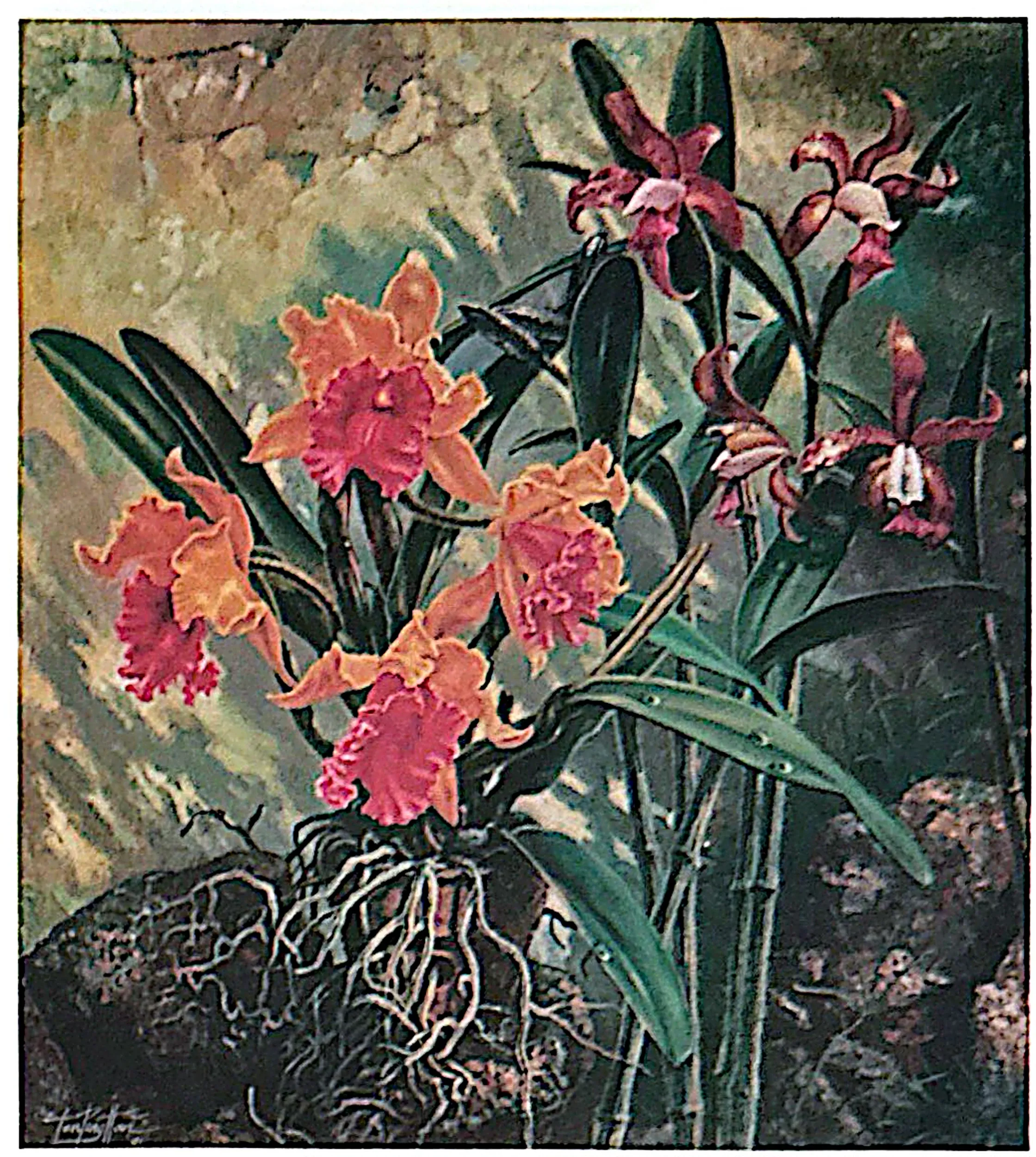 Oil painting titled Orchid by Tan Peng Hooi, 1991.