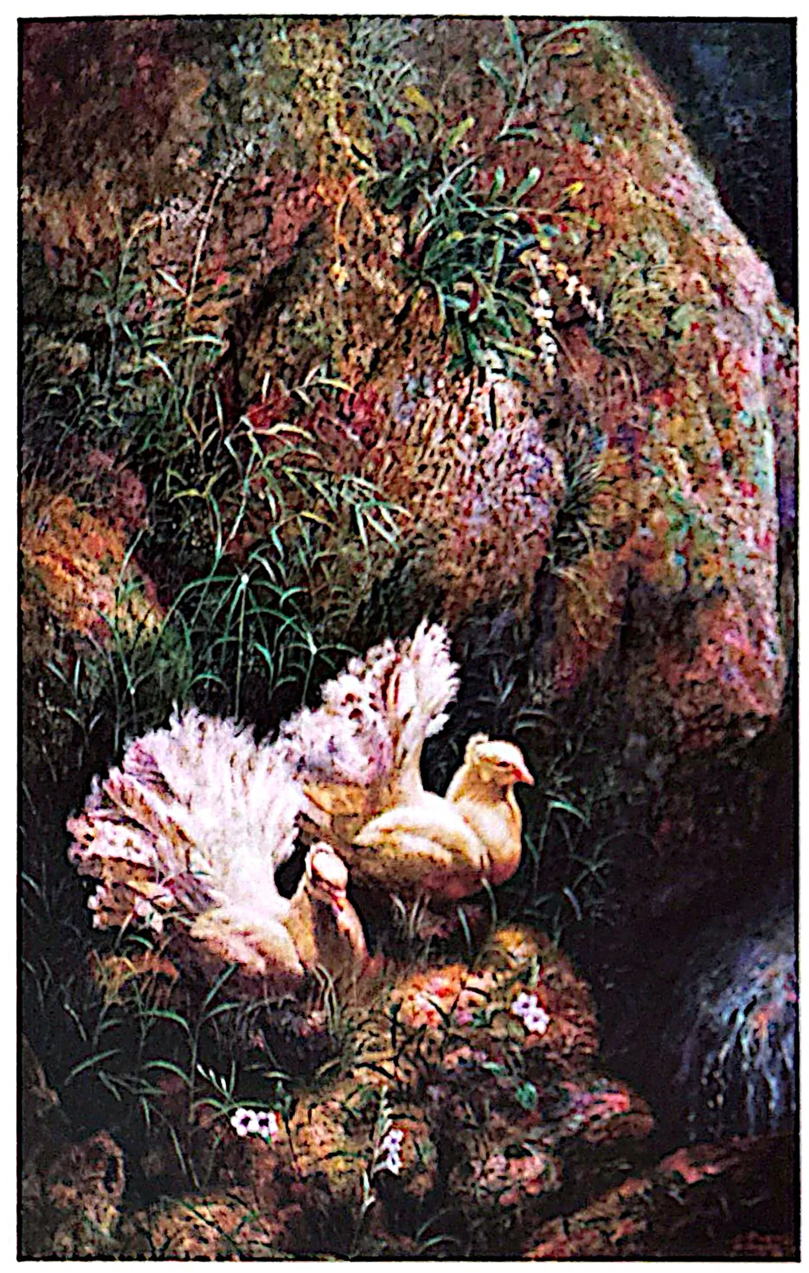 Plate for Peace Doves
