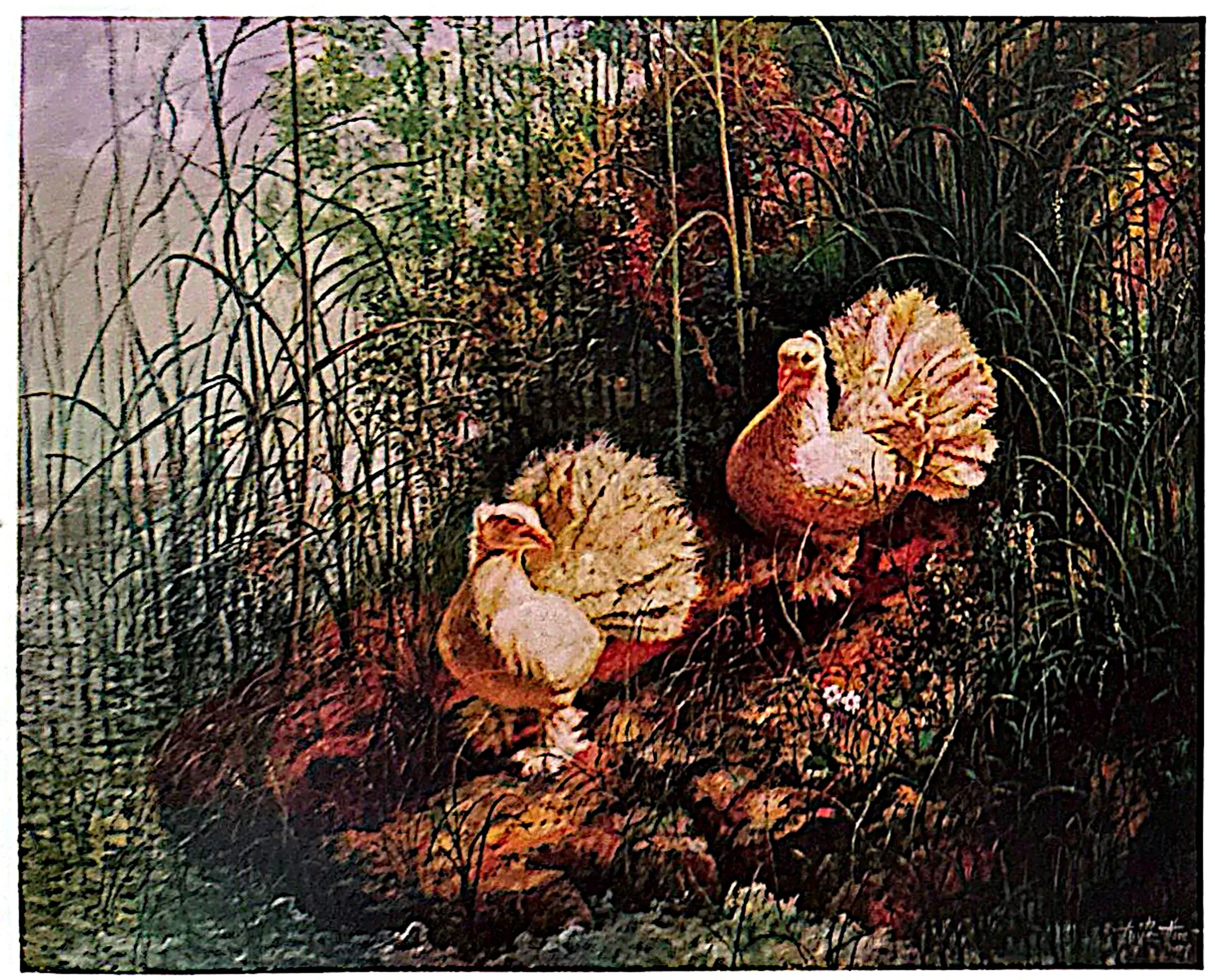 Oil painting titled Peace Doves by Tan Peng Hooi, 1999.