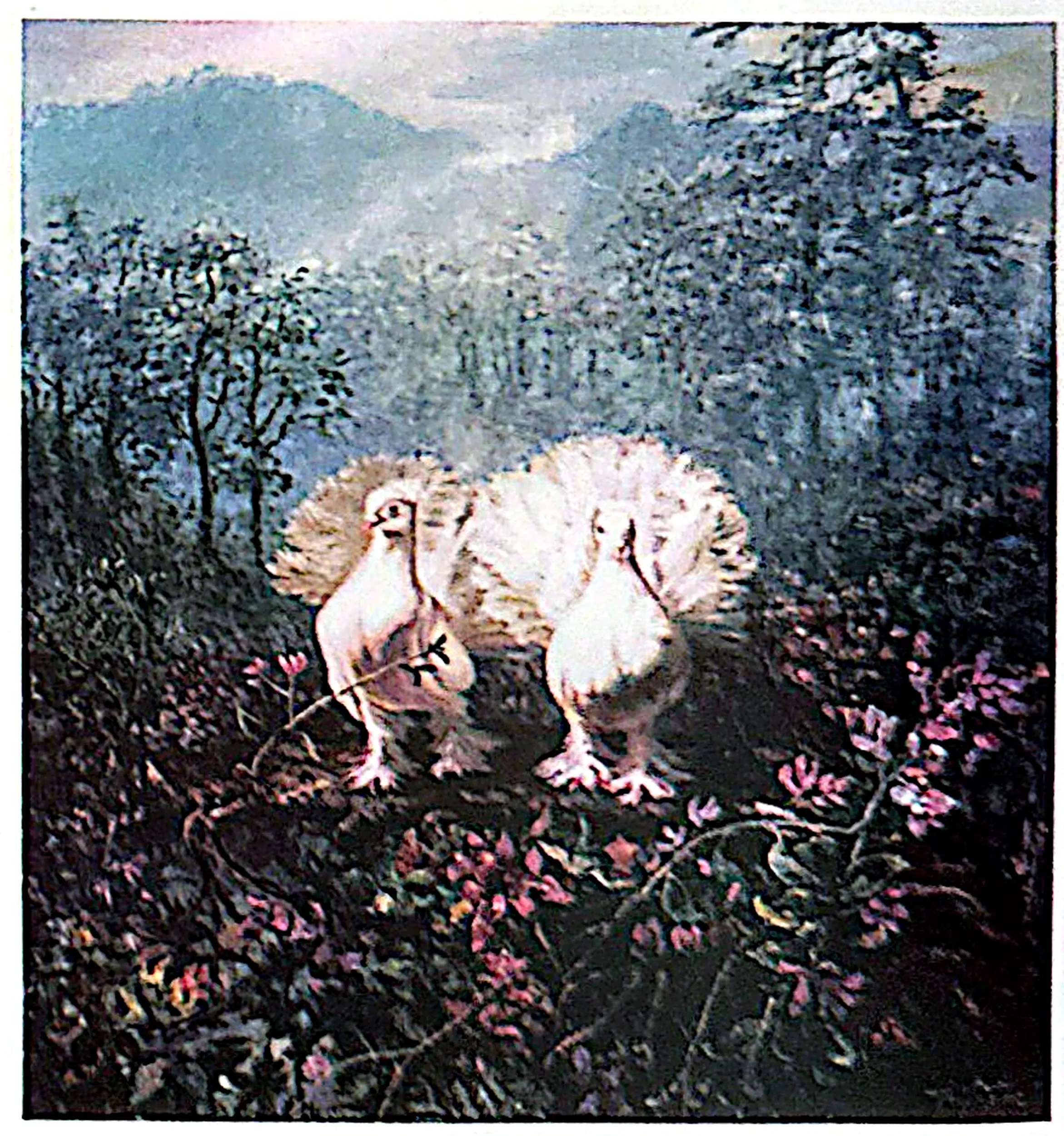 Oil painting titled Peace Doves by Tan Peng Hooi.