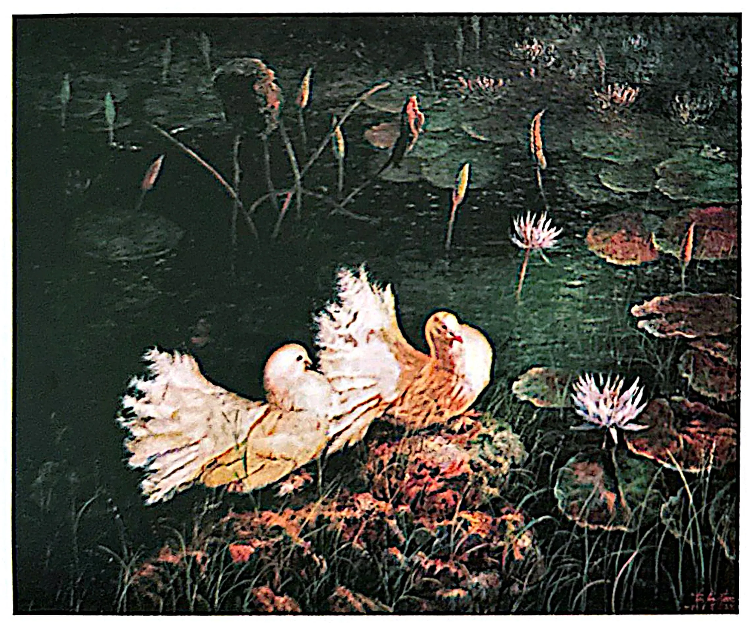Oil painting titled Peace Doves by Tan Peng Hooi.