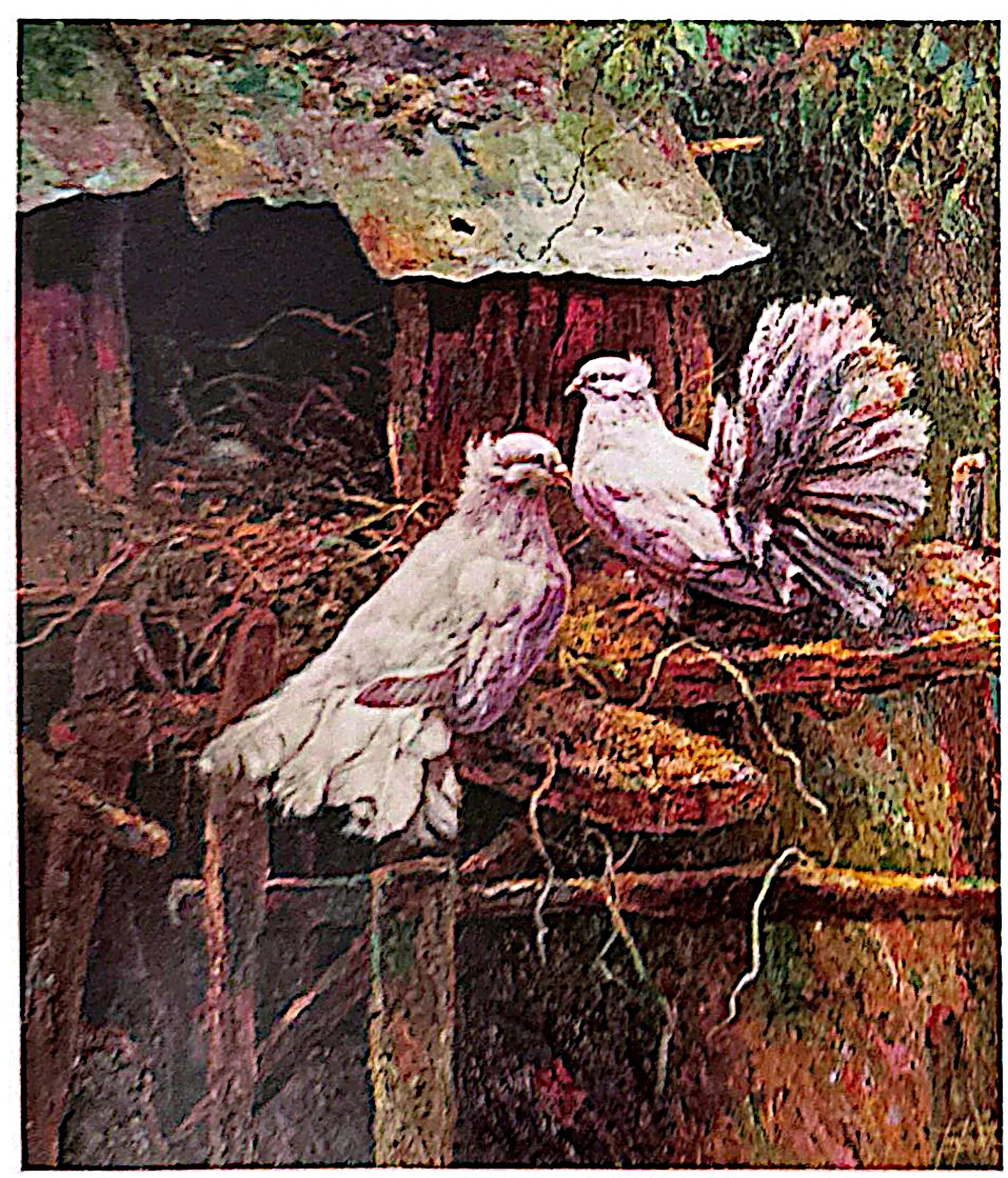 Plate for Peace Doves