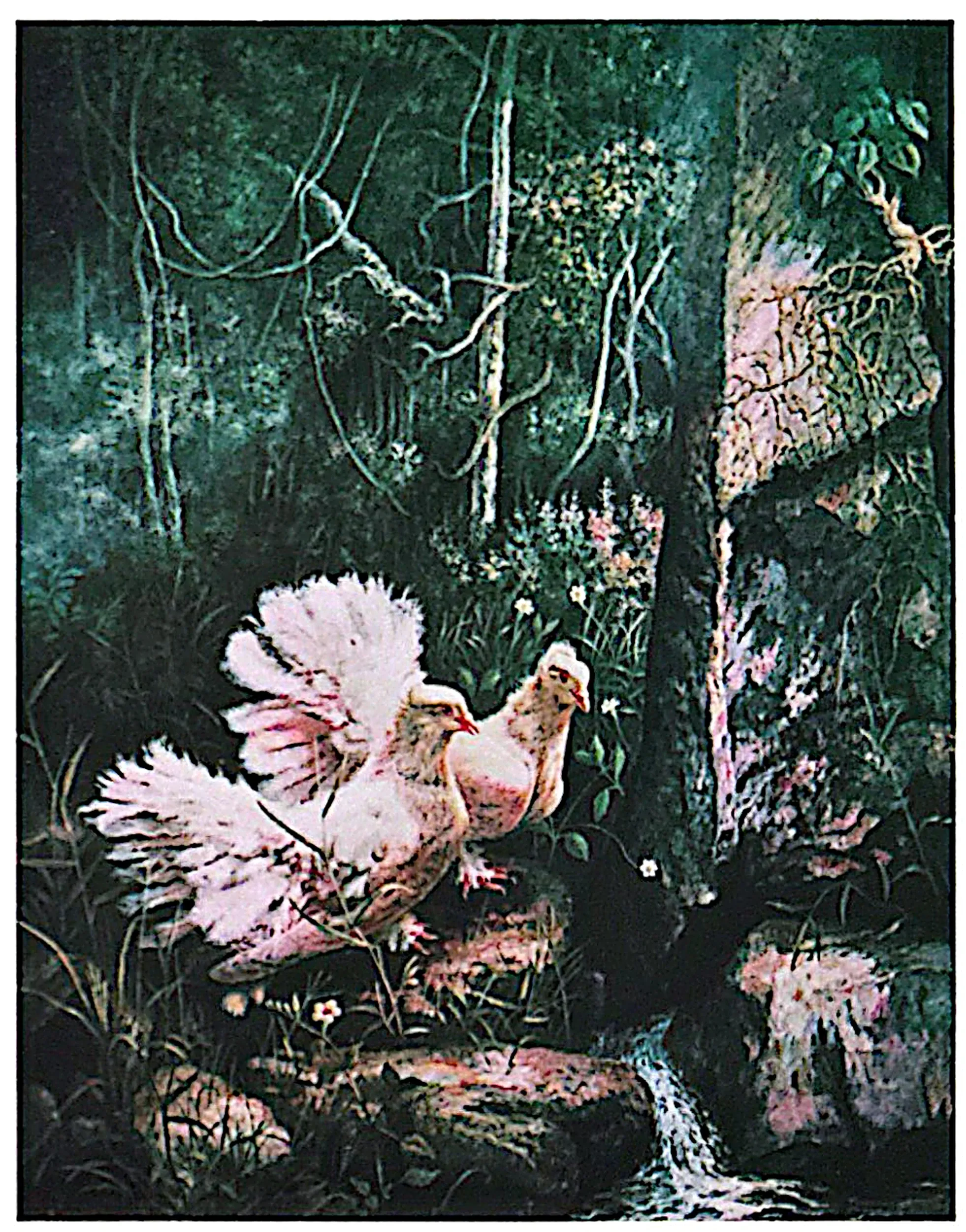 Plate for Peace Doves