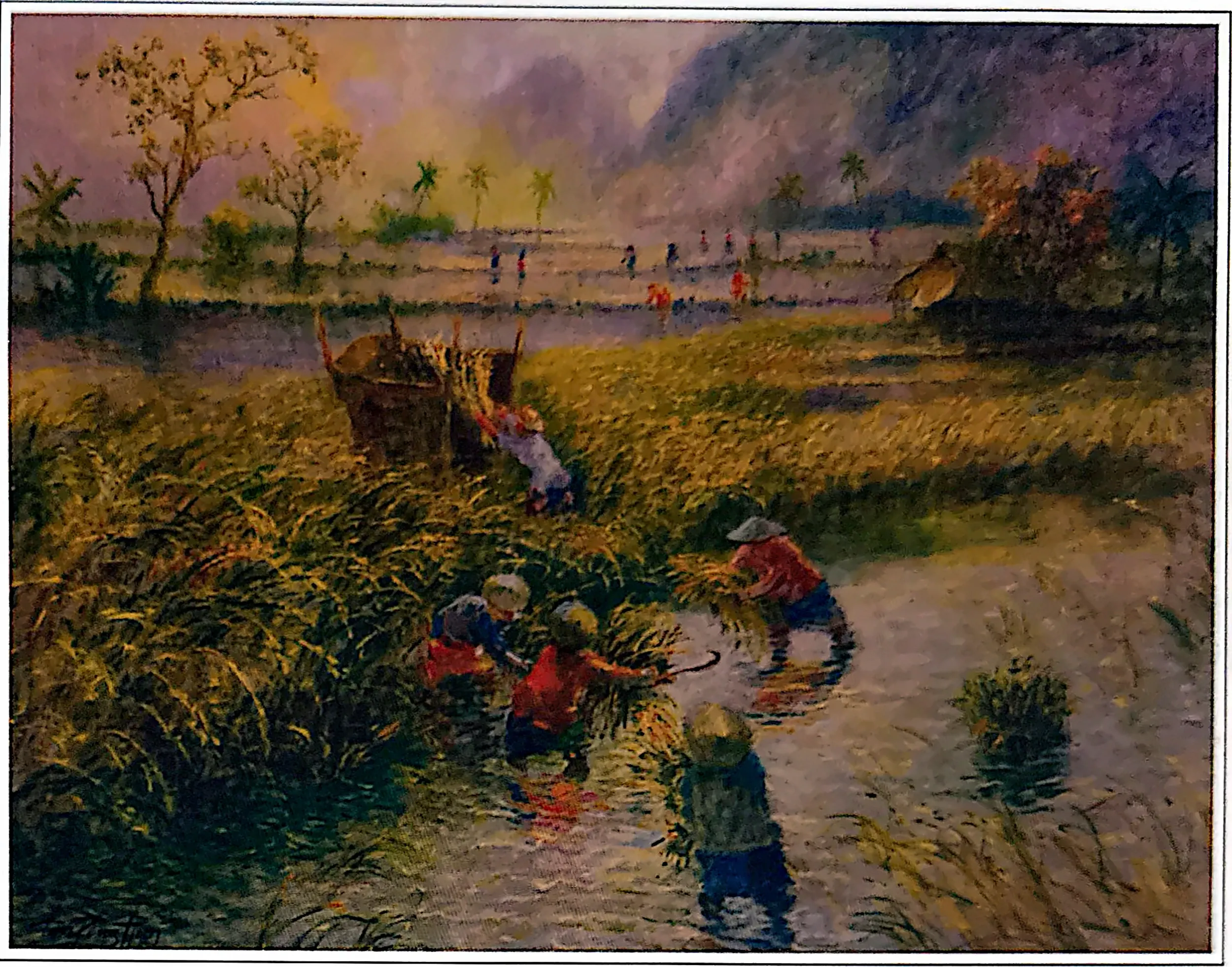 Plate for Harvesting