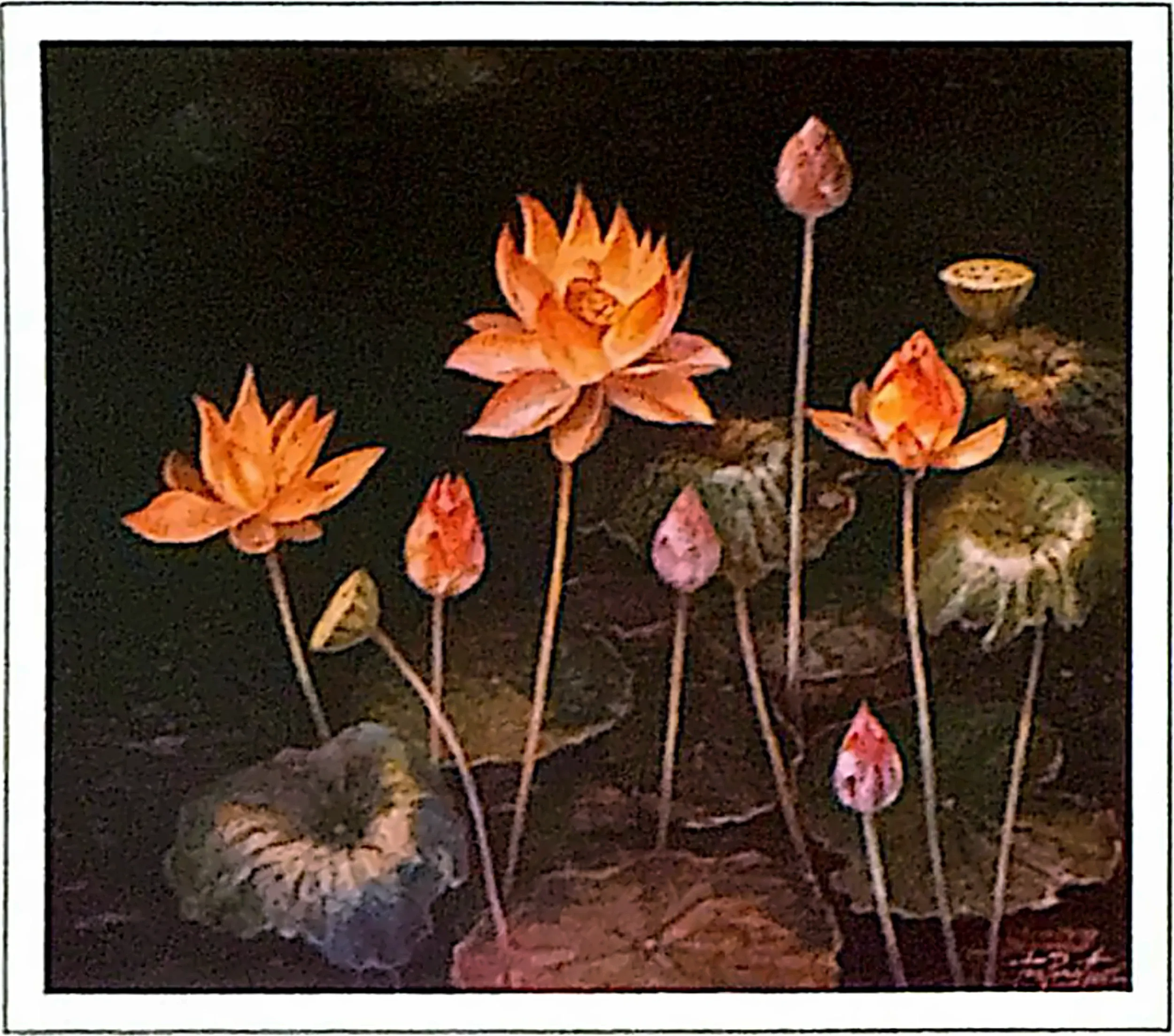 Plate for Lotus (1)