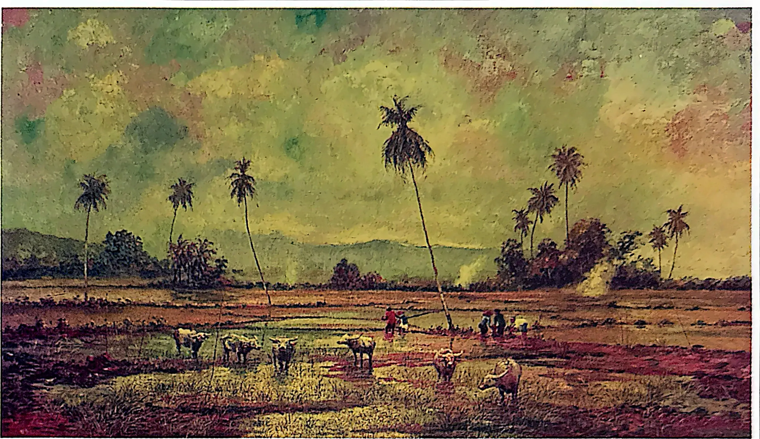 Plate for Paddy Field at Bukit Mertajam, Penang