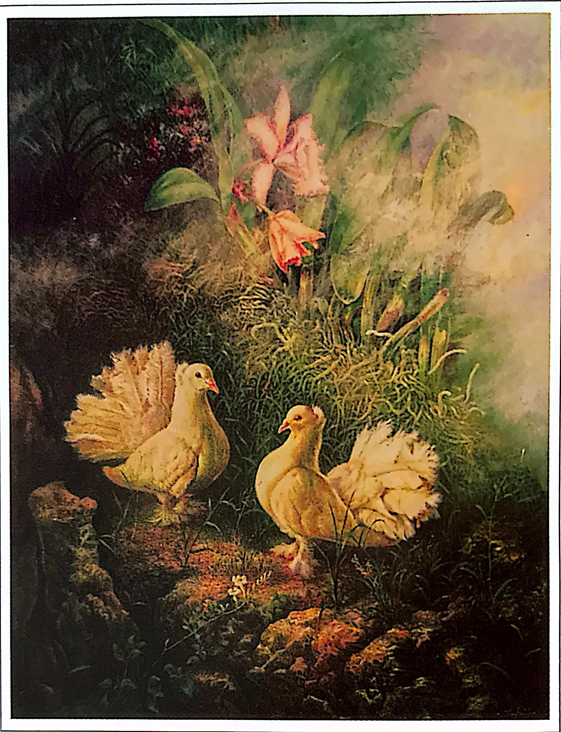 Plate for Peace Doves