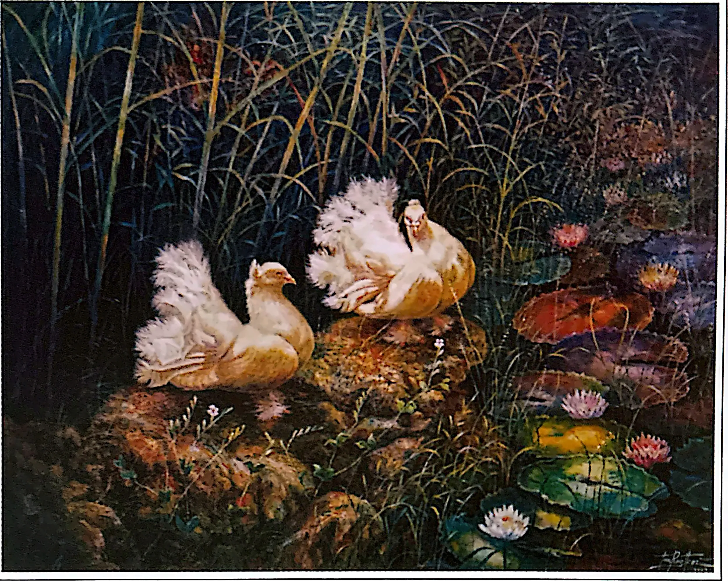 Plate for Peace Doves
