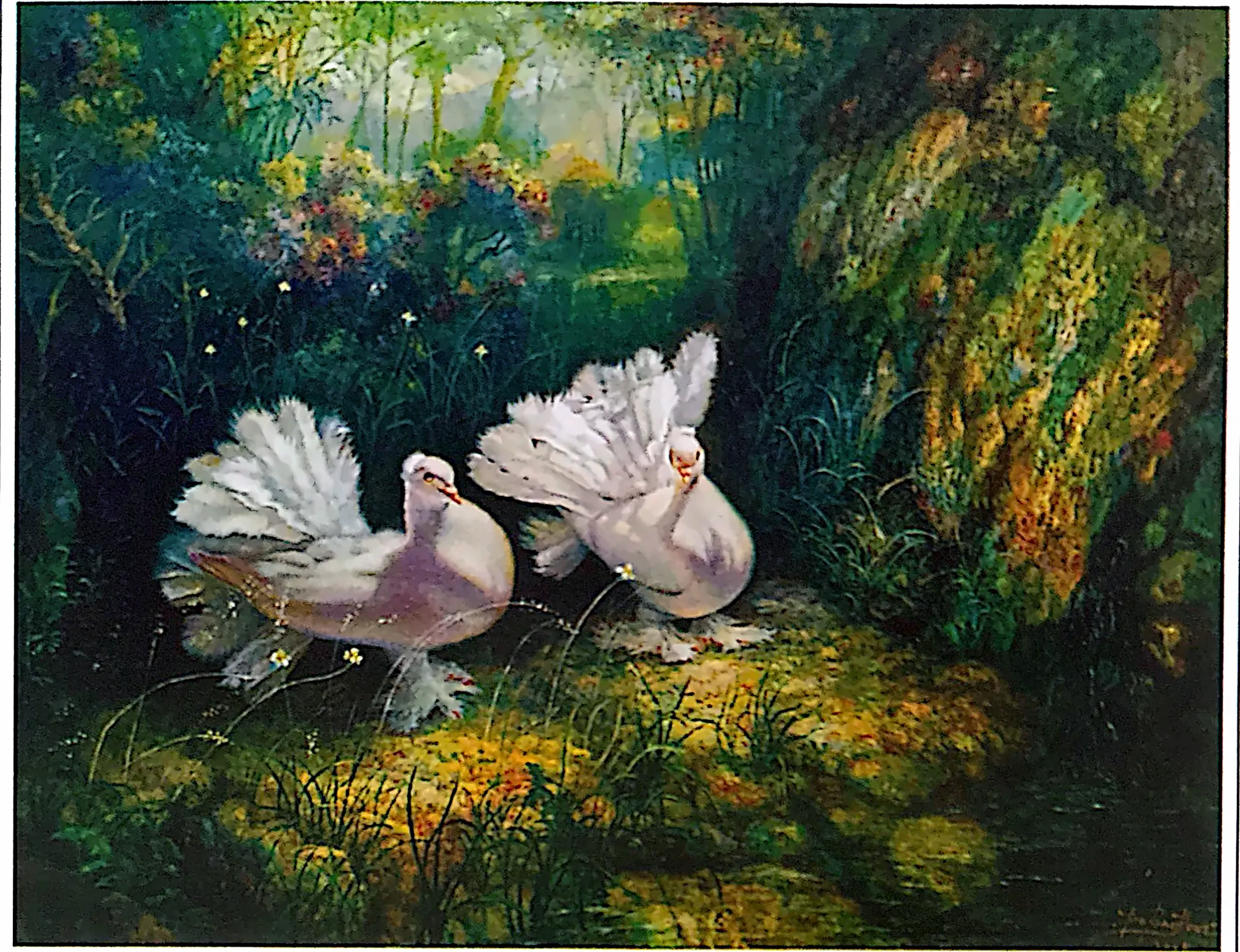 Plate for Peace Doves