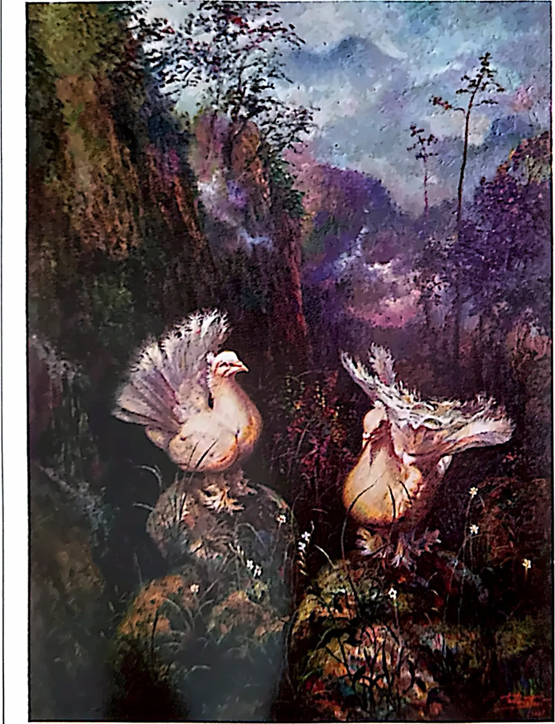 Plate for Peace Doves (4)