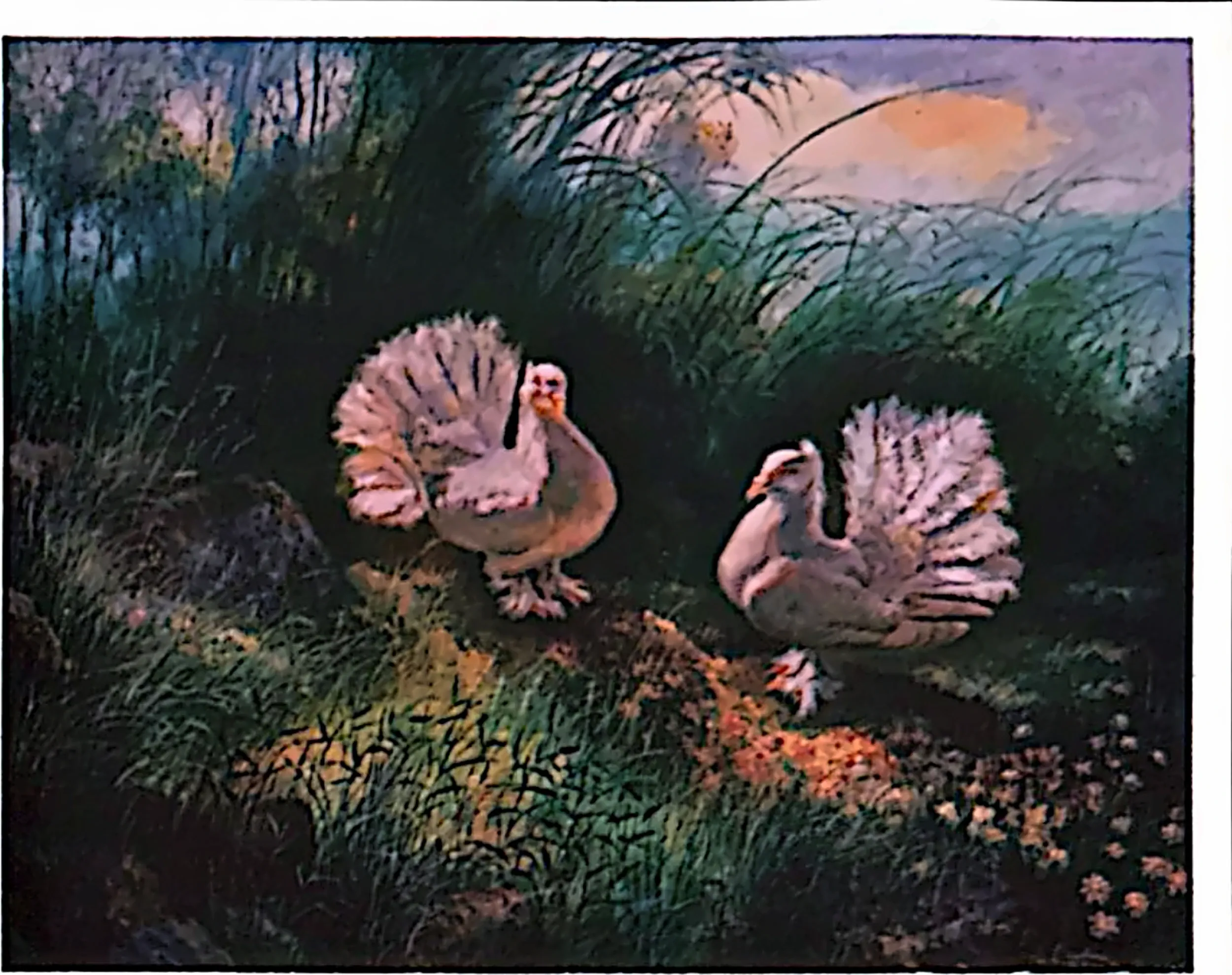 Plate for Peace Doves (7)