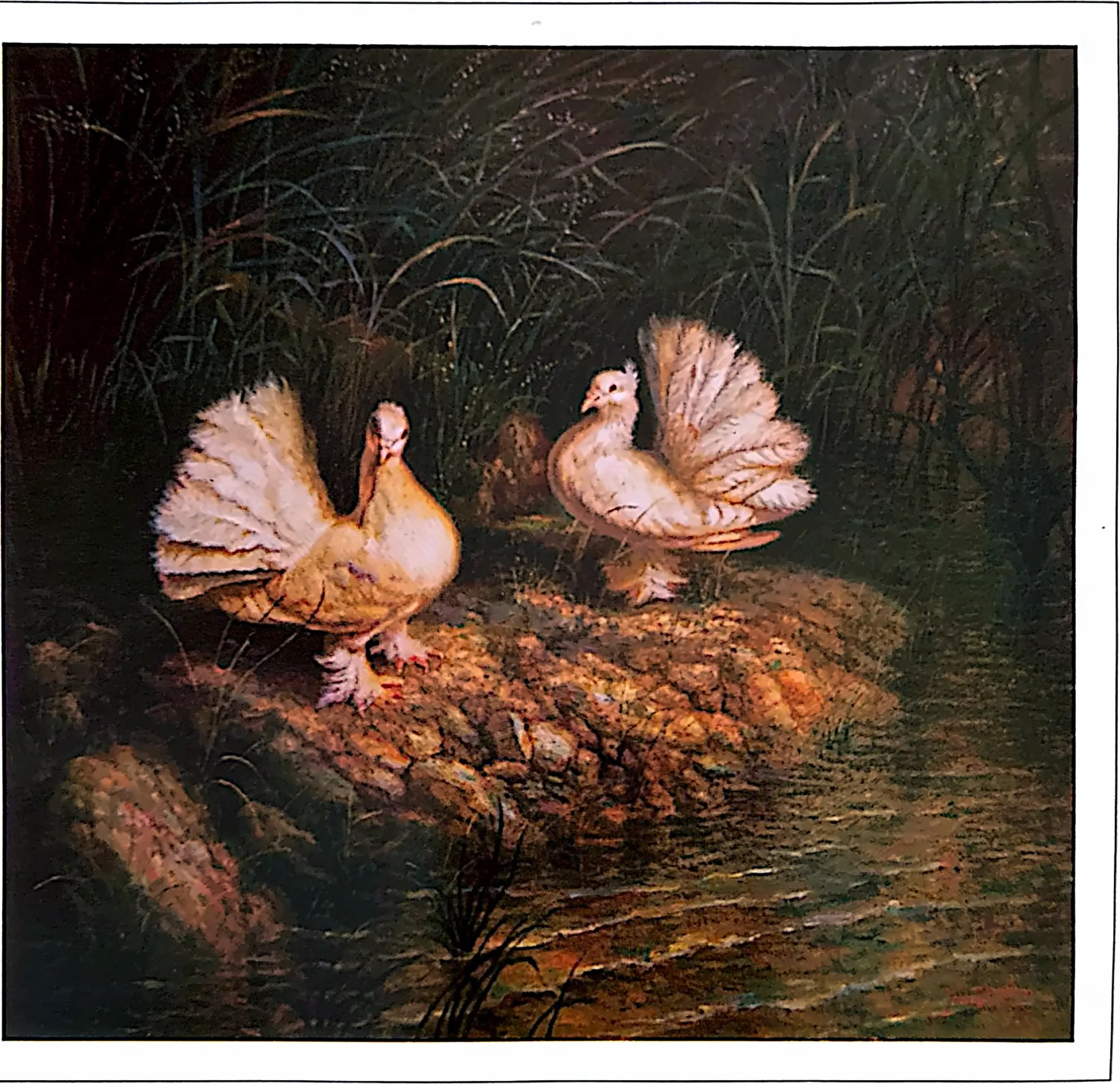 Plate for Peace Doves (8)