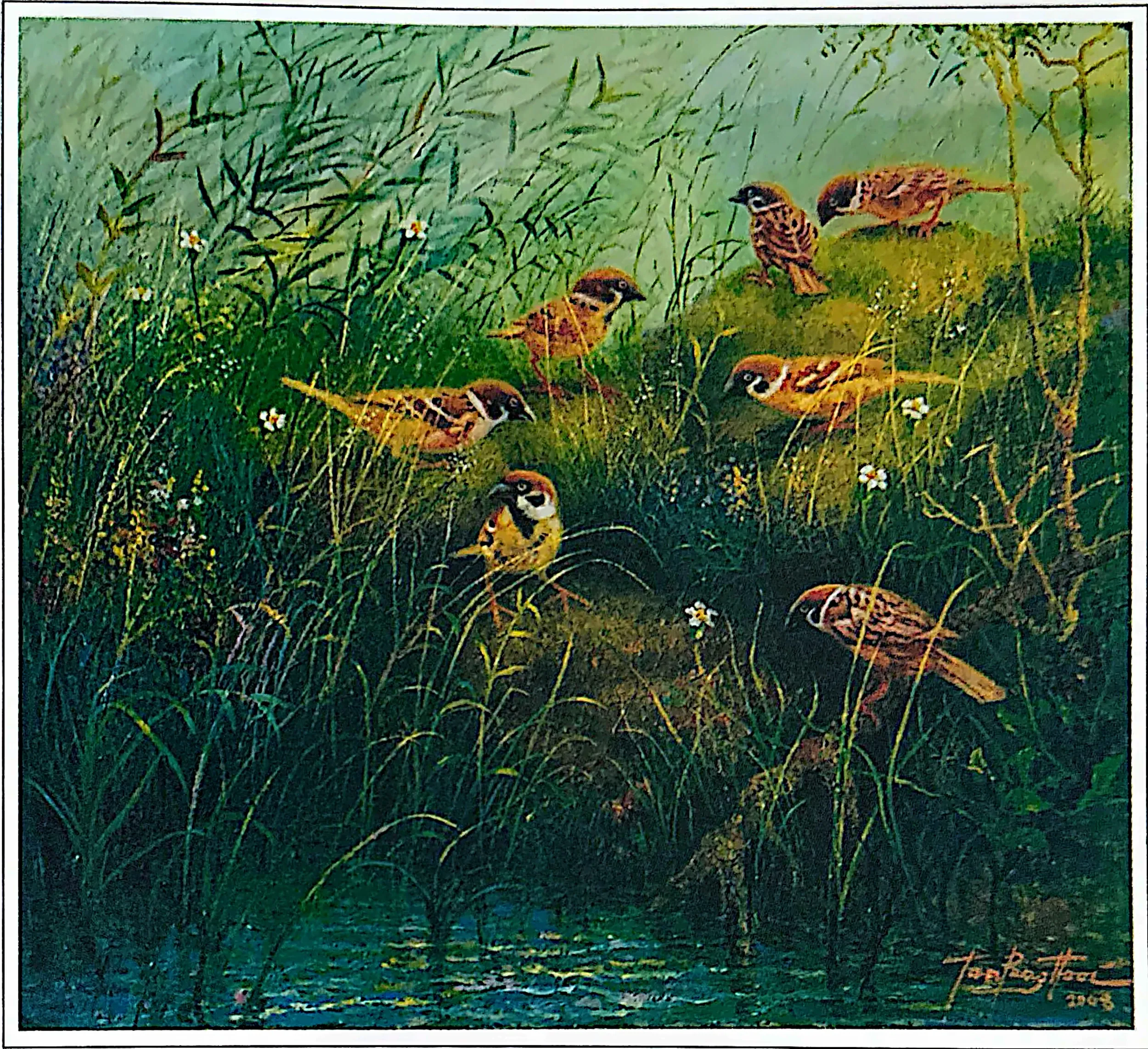 Plate for Sparrows